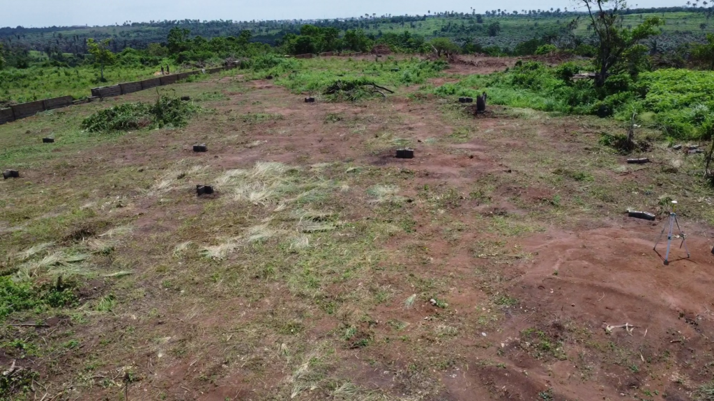 landbanking